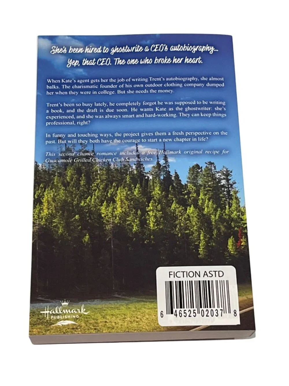 In Other Words Love by Shirley Jump Hallmark Paperback Romance Novel